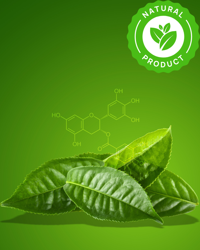 Clean & Safe Formula